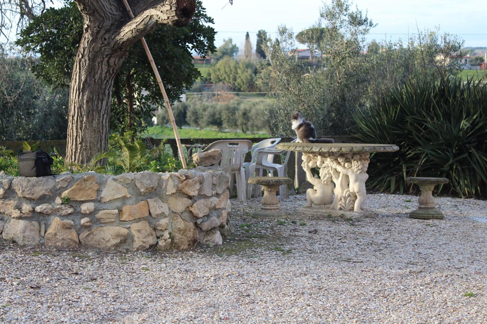 Le Casette In Collina Cerveteri Exterior foto