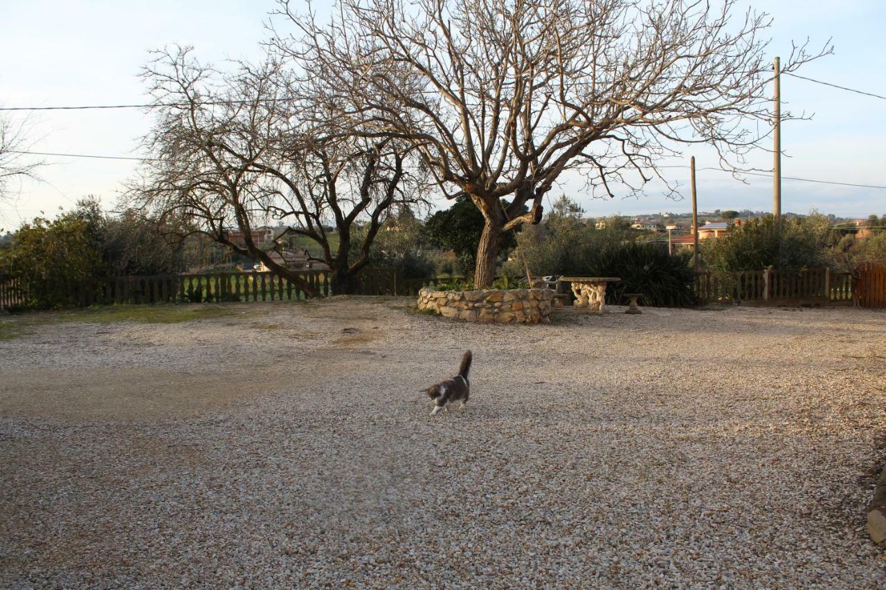 Le Casette In Collina Cerveteri Exterior foto