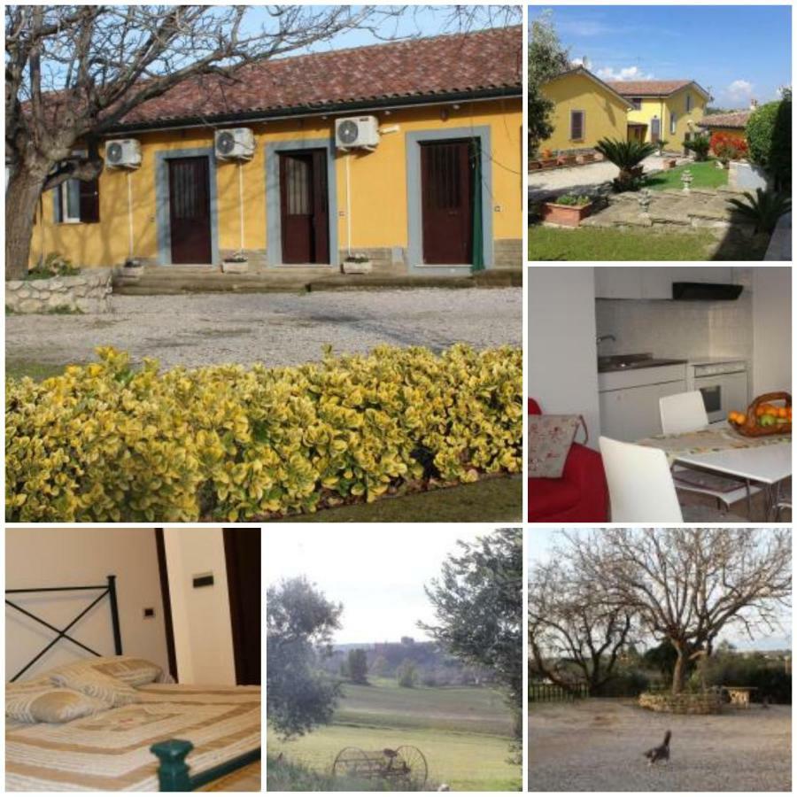 Le Casette In Collina Cerveteri Exterior foto