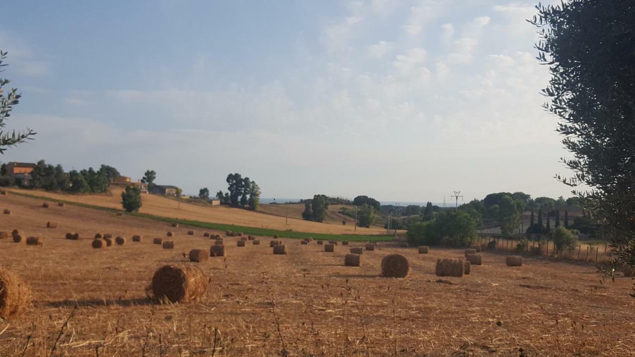 Le Casette In Collina Cerveteri Exterior foto