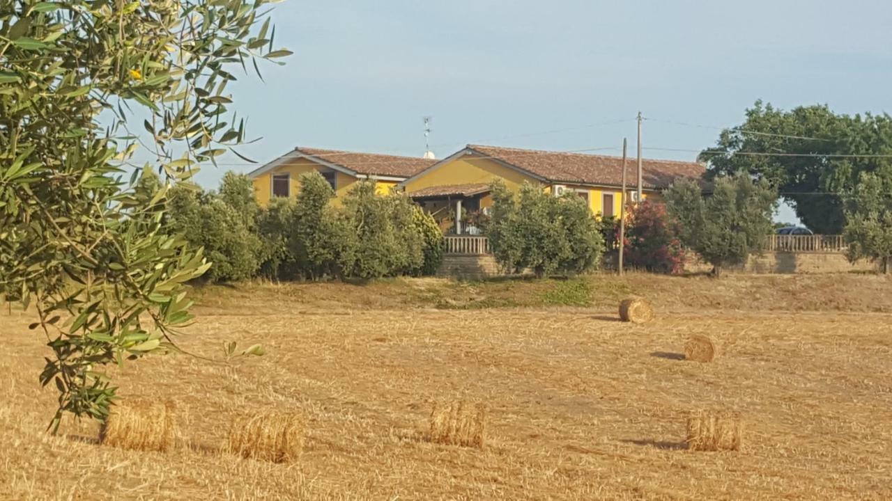 Le Casette In Collina Cerveteri Exterior foto